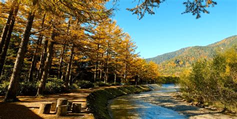 Autumn Leaves in Nagano: Join A Guided Tour - SNOW MONKEY RESORTS