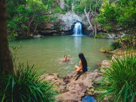 Top 5 Waterfalls On The Sunshine Coast to Visit | Queensland