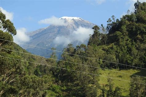 Ibagué 4 Day Tour and BirdWatching - Book Online at Civitatis.com