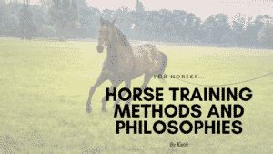 Horse Training Methods and Philosophies – Equestrian Boots and Bridles