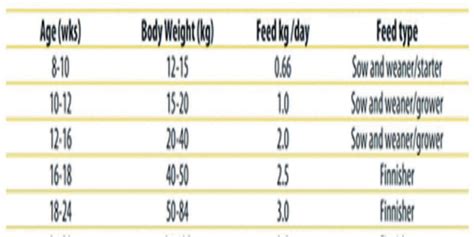 Vet on Call: Simplified guide to feeding pigs | Nation