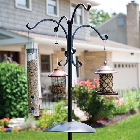 Buy Deluxe four way bird feeding station with squirrel baffle