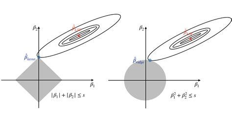 10.3 Variable selection property of the lasso | Introduction to Data Science