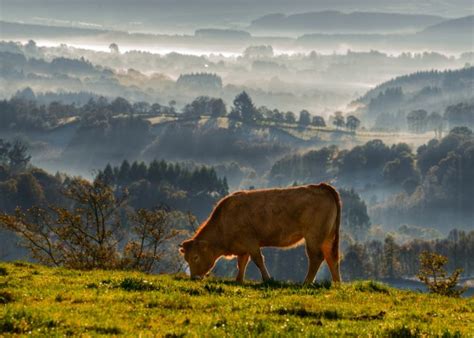 Galicia - a unique and captivating place - InSpain.news