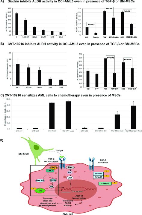 ALDH2 inhibitors decrease stroma-induced ALDH activity in AML cells and... | Download Scientific ...