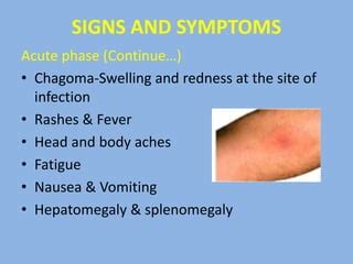 Reduviid bug And Chagas Disease | PPT