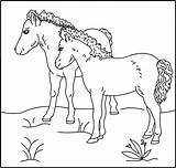 coloring Horse Pictures sketch template