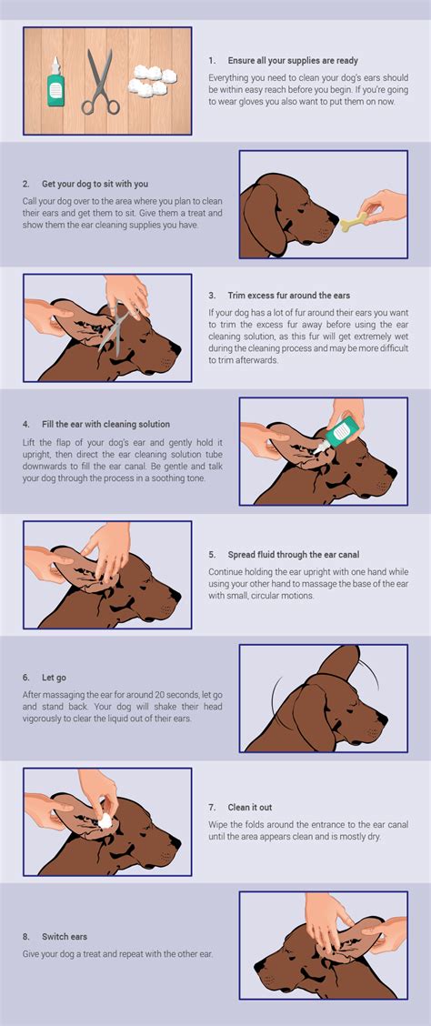 How to clean your dog’s ears - Montego