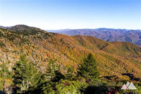 Roan Mountain hiking: Roan Highlands and Appalachian Trail