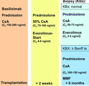 De novoTherapy with Everolimus, Low‐Dose Ciclosporine A, Basiliximab and Steroid Elimination in ...