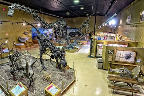 Wyoming Dinosaur Center | Big Horn Basin Media