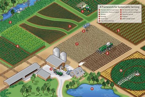 10 Best Sustainable Farming Methods! | Environment Buddy