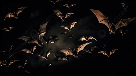 Many Bats Flying In The Dark Background, Pictures Of Bats Flying, Bat ...