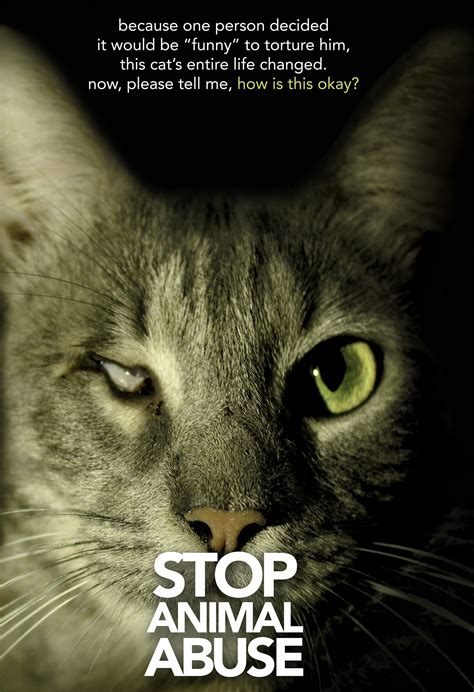 Stop Animal Abuse Advocacy Poster (1) | Images :: Behance