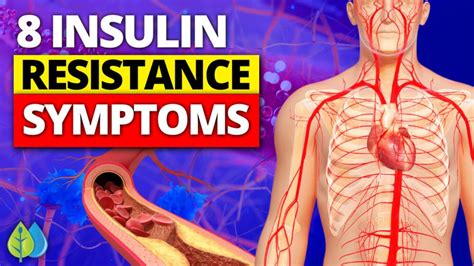 Top 8 Insulin Resistance Symptoms You NEED to Know | DailyHealthPost