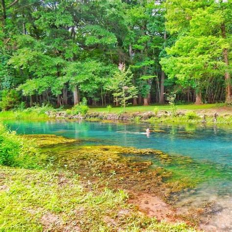 14 Incredible State Parks near Tallahassee, FL (+ Map) – Wild