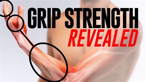 Grip Strength and Forearm Training Revealed (A Scientific Breakdown) - YouTube