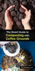 Adding Coffee Grounds to Compost - What You Need to Know