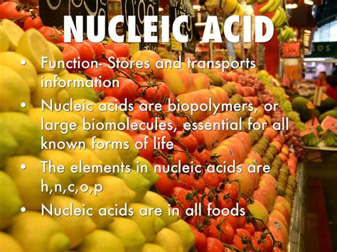 Organic Compounds by Steven Smith