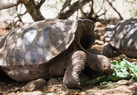 Where to See the Wildlife on San Cristobal Island, Galapagos ...