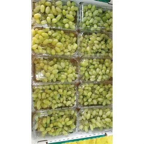 A Grade Thompson Seedless Grapes at Rs 55/kg in Osmanabad | ID: 22230190397