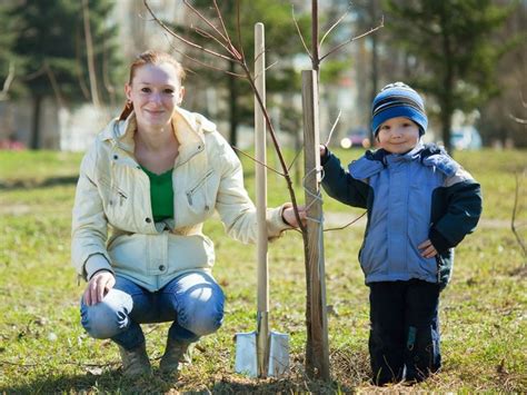 5 Best Trees To Plant In Fall: What Trees Can Be Planted In The Fall