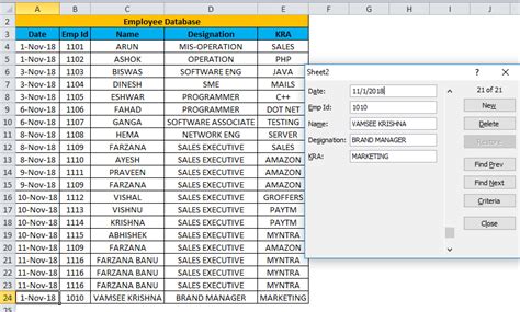 Excel Forms Examples How To Create Data Entry Form In - vrogue.co