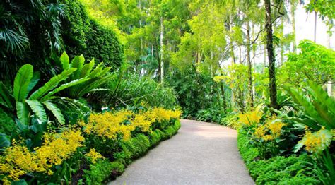 1080x2248 singapore, botanic gardens, walking paths 1080x2248 Resolution Wallpaper, HD Nature 4K ...