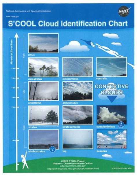 Module 4 - Cloud Identification