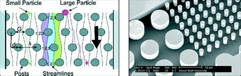 Angry pathogens, how to get rid of them: introducing microfluidics for ...