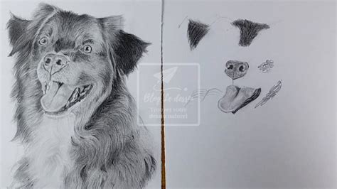 Comment Dessiner un Chien Réaliste ? Tuto Facile - Blog Le Dessin