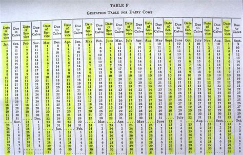 Cow Gestation Table. Gestation Table For Cattle! It's Still A Good Estimate . Gestation Table ...