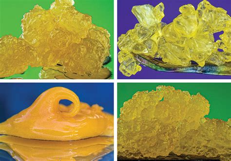 CANNABIS CONCENTRATE/ EXTRACT TYPES EXPLAINED | Edibles Magazine™