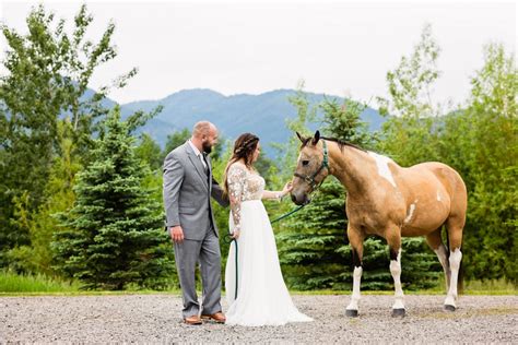 Horse-drawn Carriage ⋆ Hart Ranch Weddings