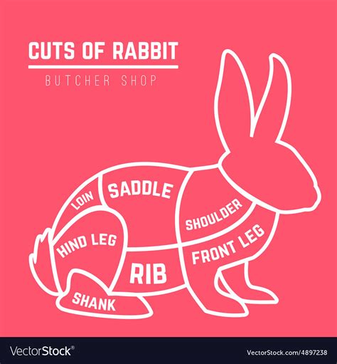 Rabbit cuts diagram for butcher shop Royalty Free Vector