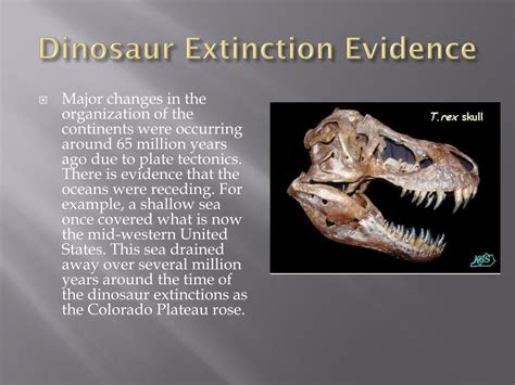 PPT - Dinosaur Extinction Evidence PowerPoint Presentation, free download - ID:2527542