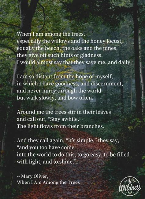 "When I am Among the Trees" -- Mary Oliver | Nature poem, Nature quotes trees, Nature quotes