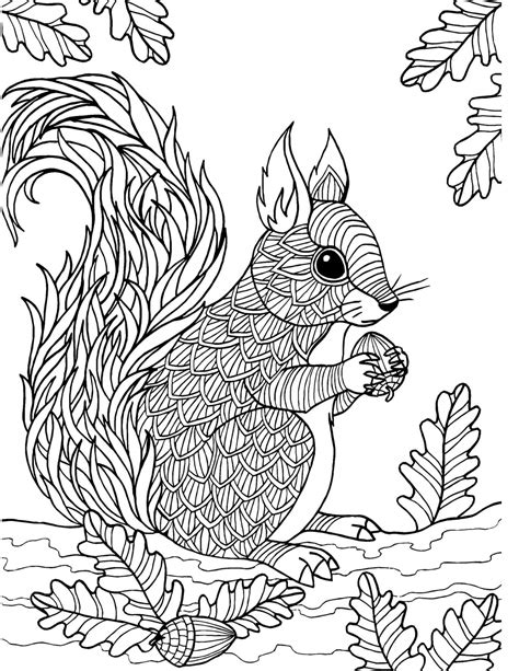 Mandala Squirrel Holding Acorn Coloring Page - Download, Print Now!