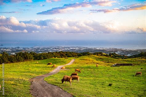 Beautiful scenery of Jeju Island :제주도의 아름다운 풍경 Stock Photo | Adobe Stock