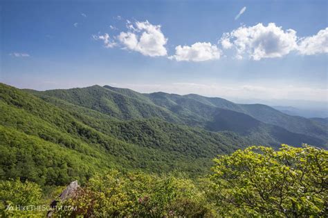 Hawkbill Rock via Craggy Gardens Picnic Area | HikeTheSouth