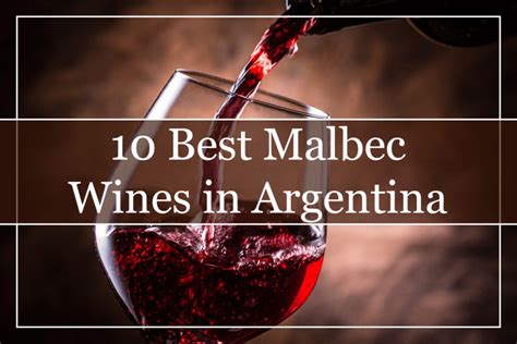 10 Best Malbec Wines From Argentina (2023) - You Must Try!