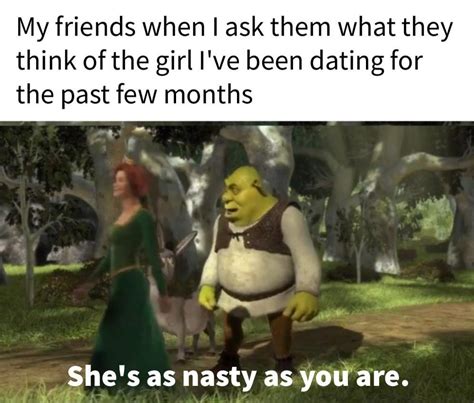 Making a meme from every line in Shrek (2001) Day 461 : r/Shrekmemes