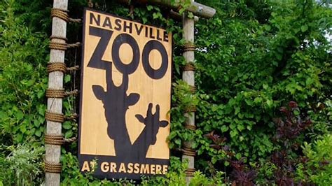 Celebrating 25 years of Nashville Zoo! | WKRN News 2