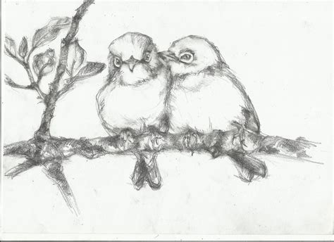 bird drawing | nightwithdeer | Bird drawings, Branch drawing, Drawings