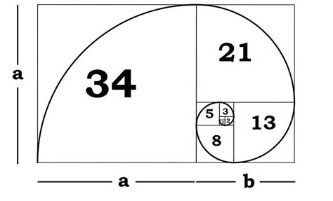 Understanding the Fibonacci Sequence and Golden Ratio