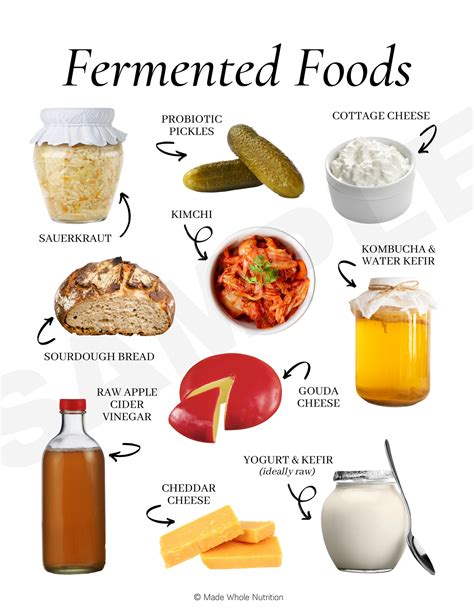 Top 10 Fermented Foods — Customizable Nutrition Education Materials ...