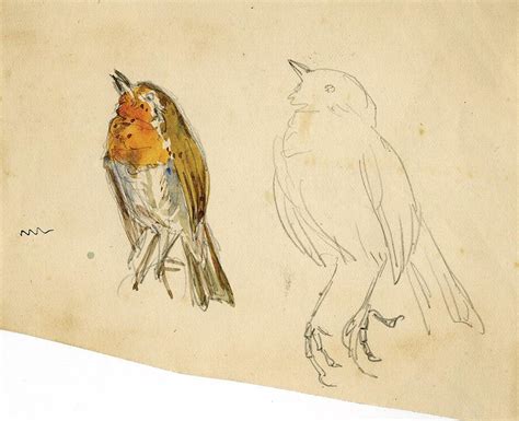 Beatrix Potter Sketches at PaintingValley.com | Explore collection of Beatrix Potter Sketches