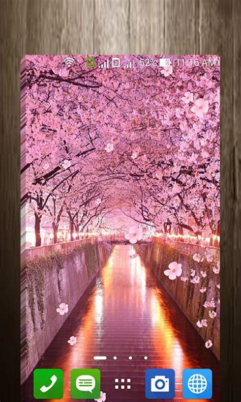 Sakura Live Wallpaper APK Download for Android - Latest Version