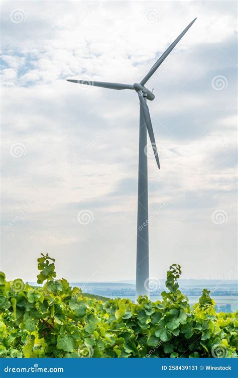 Wind Turbines in a Vineyard Near Mainz, Germany Stock Image - Image of propeller, generator ...