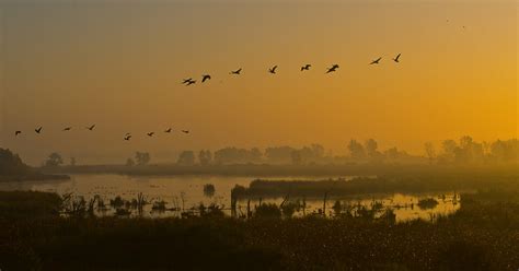 Horicon Marsh Wildlife Area | Travel Wisconsin